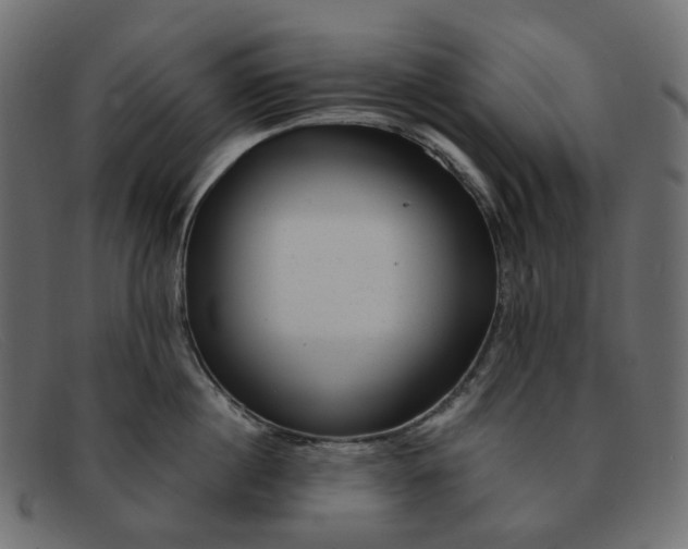 X0000091880860200709191155