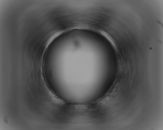 X0000091880861200709191155