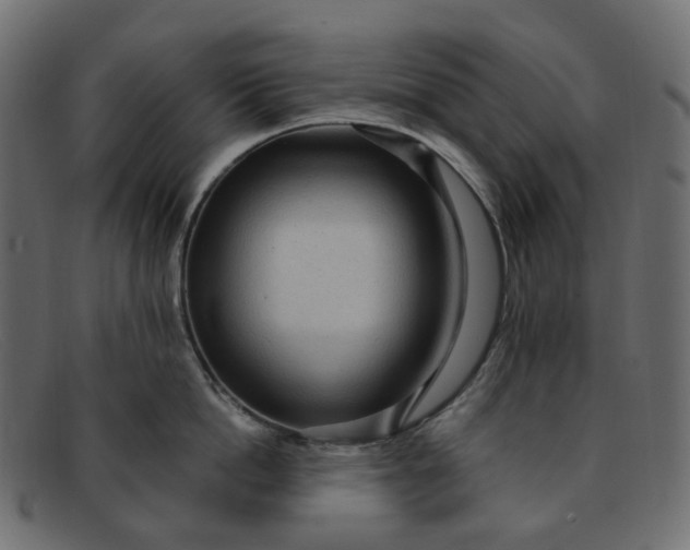 X0000091880862200709191155