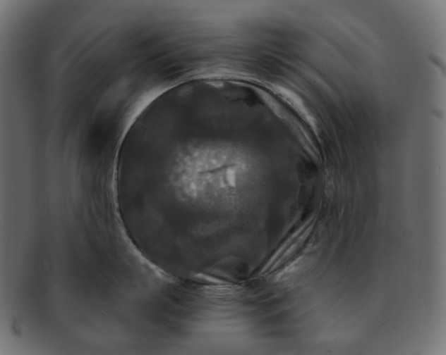 X0000091880863200709191155