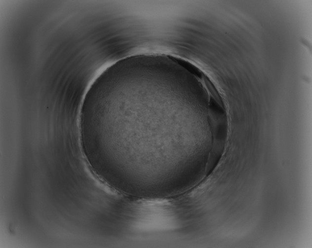 X0000091880864200709191155