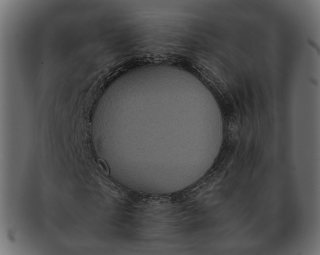 X0000091880865200709191154