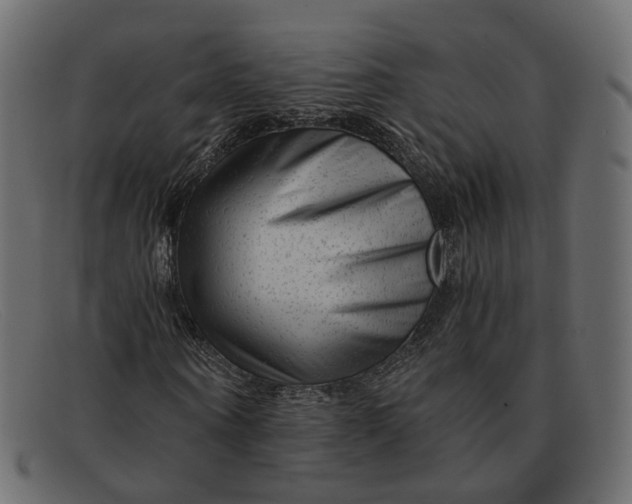 X0000091880866200709191154