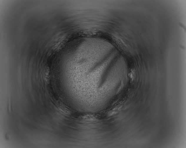 X0000091880867200709191154