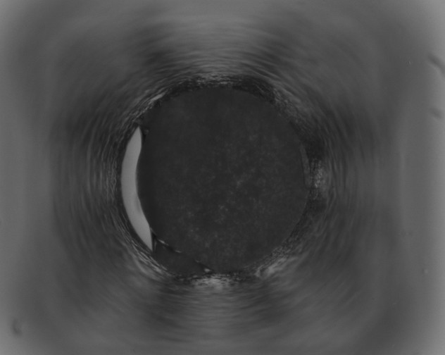 X0000091880868200709191154