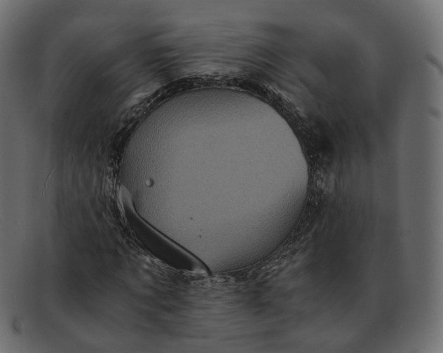 X0000091880869200709191154