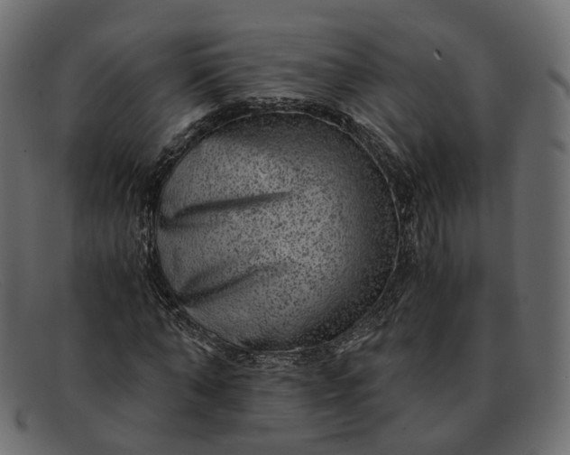 X0000091880870200709191154
