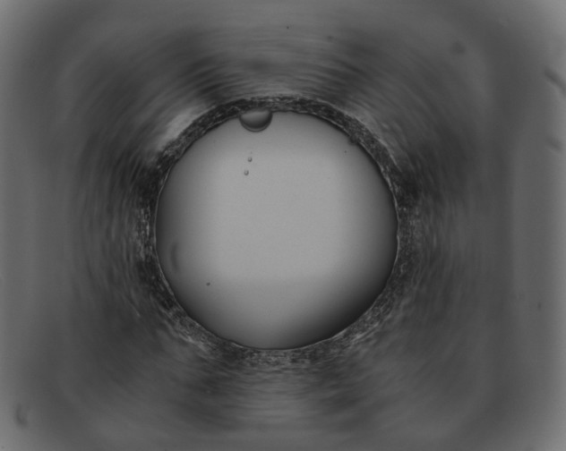 X0000091880871200709191154