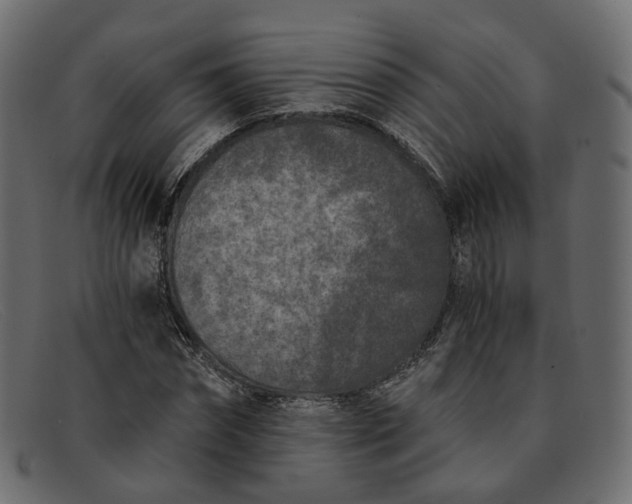 X0000091880874200709191154