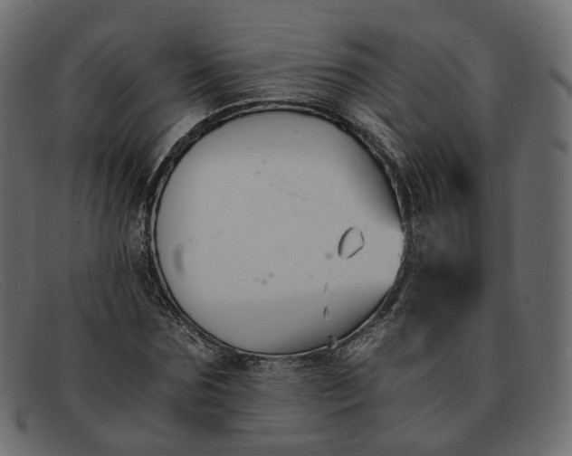 X0000091880875200709191154