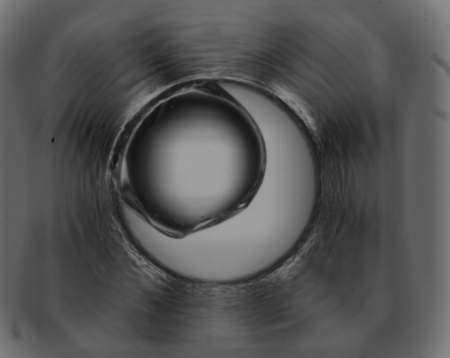 X0000091880876200709191154