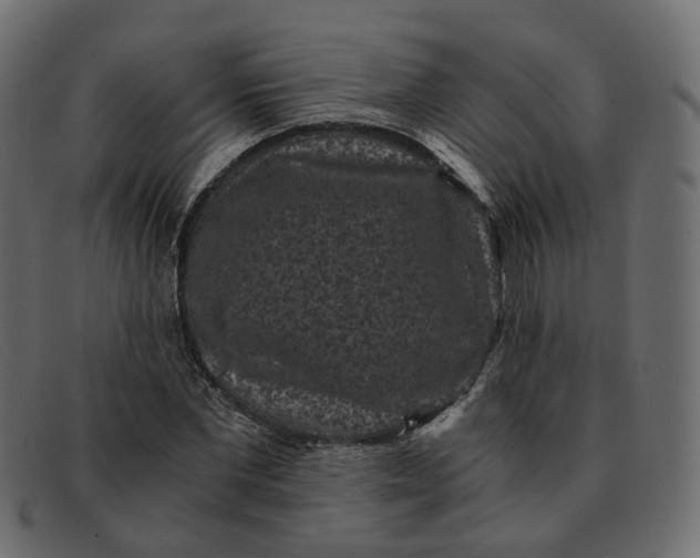 X0000091880877200709191154