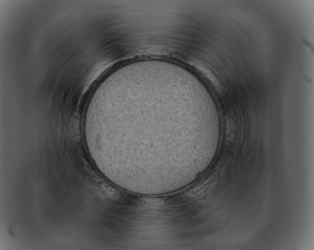 X0000091880878200709191154