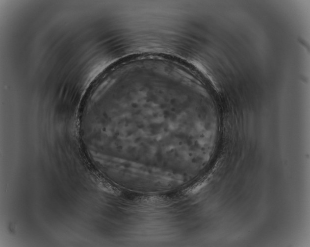 X0000091880879200709191154