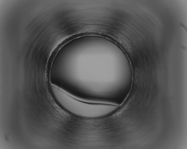 X0000091880880200709191154