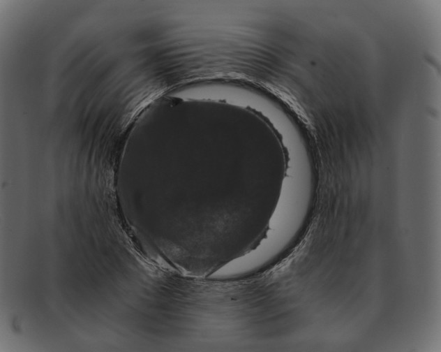 X0000091880881200709191154