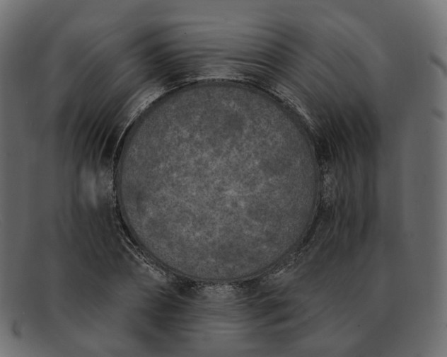 X0000091880882200709191154