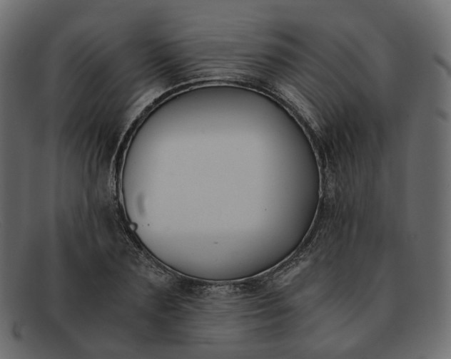 X0000091880883200709191154