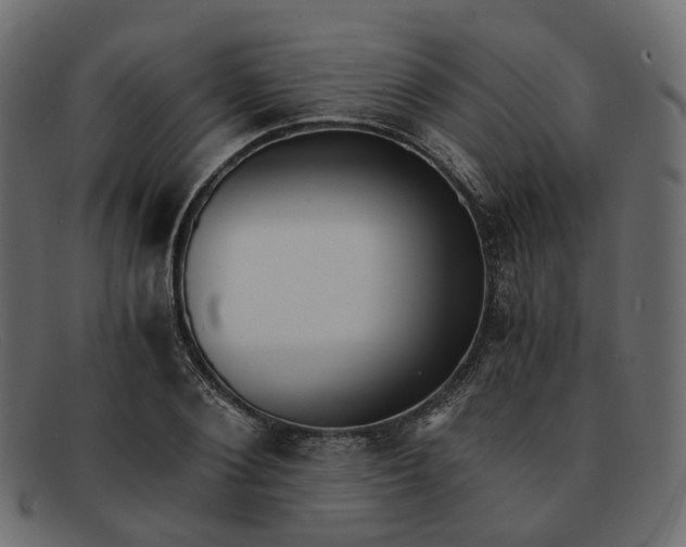 X0000091880884200709191154