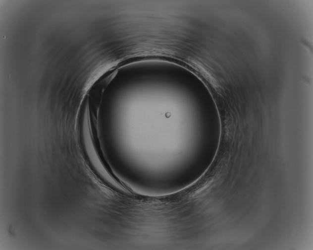 X0000091880885200709191154