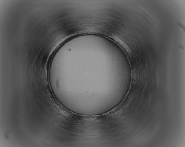 X0000091880886200709191154