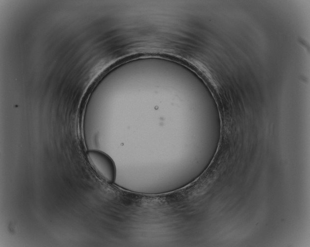 X0000091880887200709191154