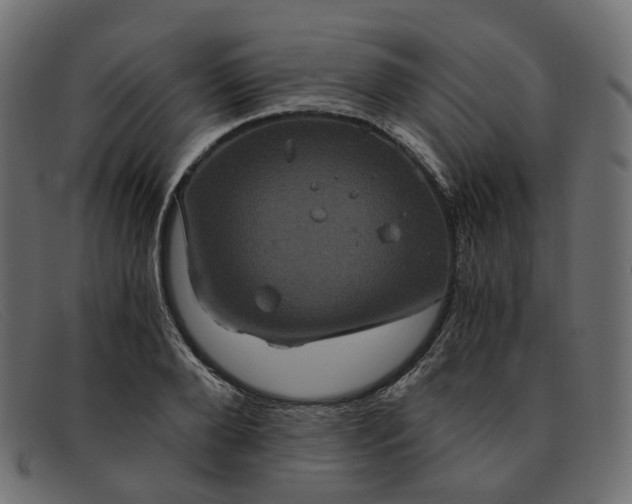 X0000091880888200709191154