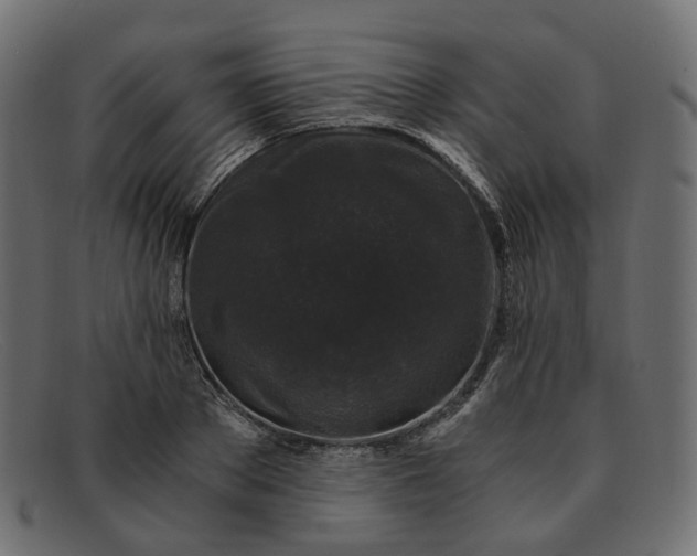 X0000091880889200709191154