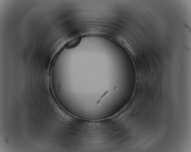 X0000091880890200709191154