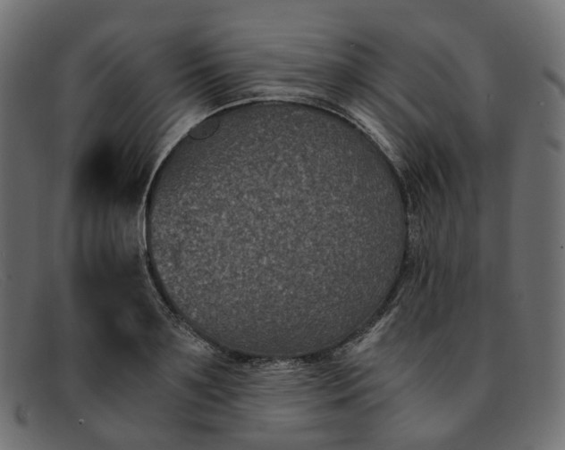 X0000091880891200709191154