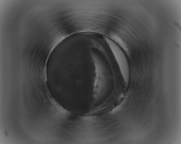 X0000091880892200709191154