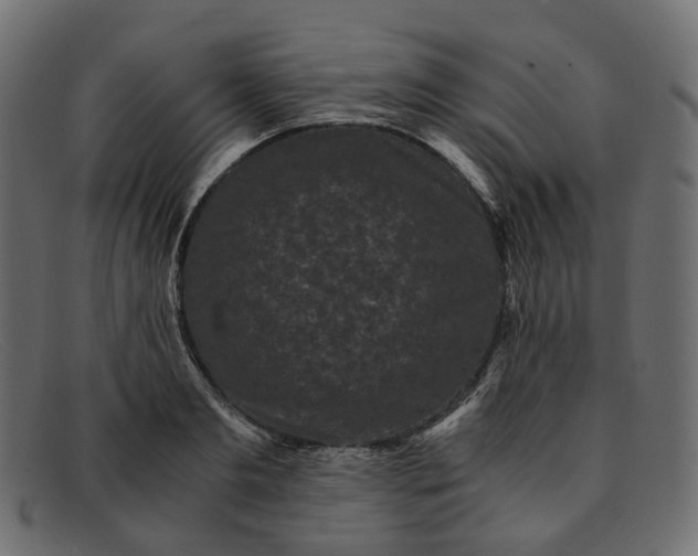 X0000091880893200709191154