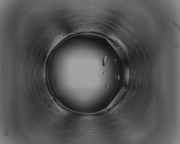 X0000091880894200709191154