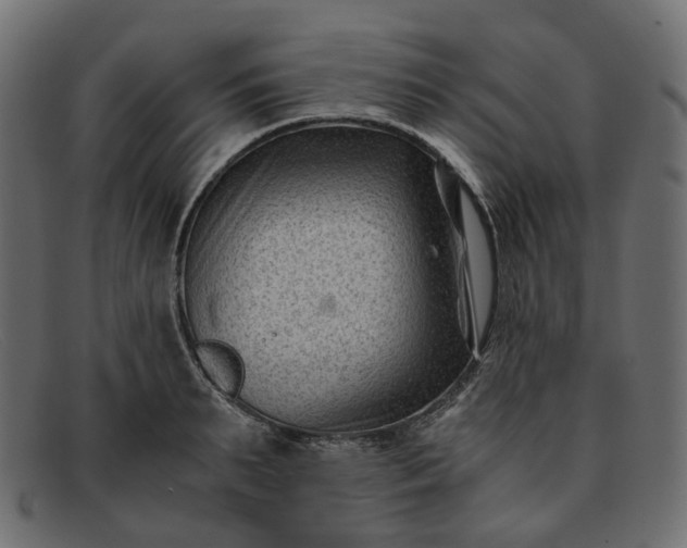 X0000091880895200709191154