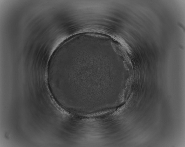 X0000091880896200709191154