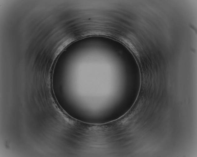 X0000091880898200709191154