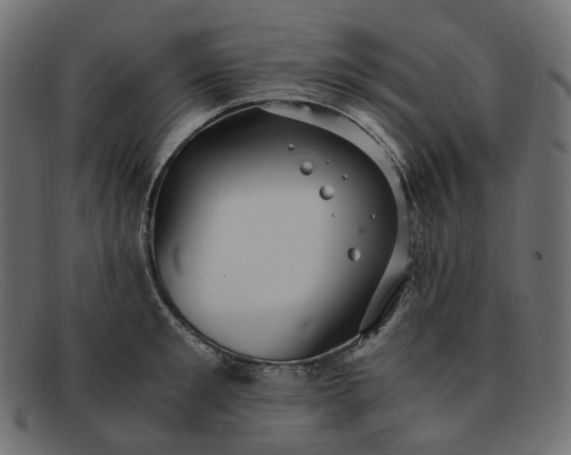 X0000091880901200709191154