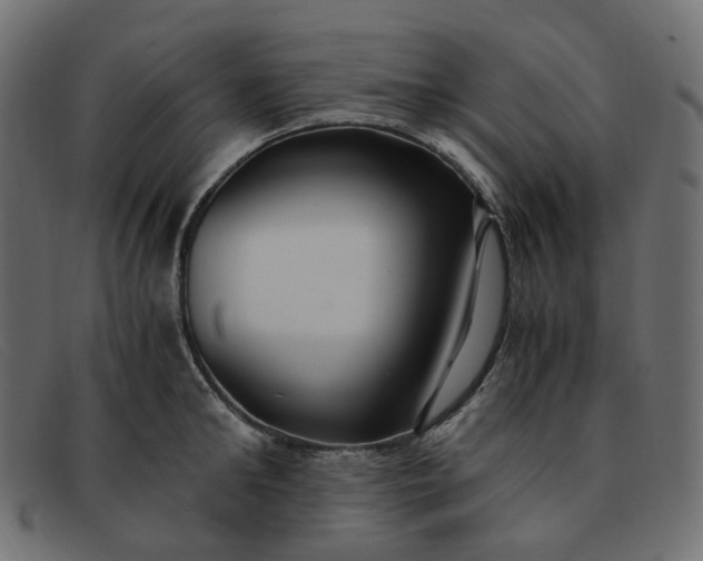 X0000091880902200709191154