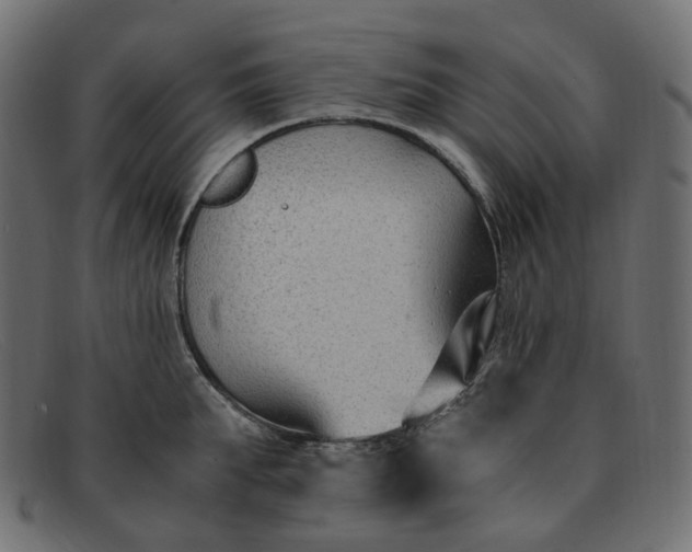 X0000091880903200709191154