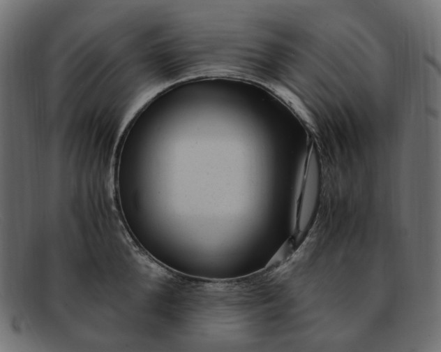 X0000091880904200709191154