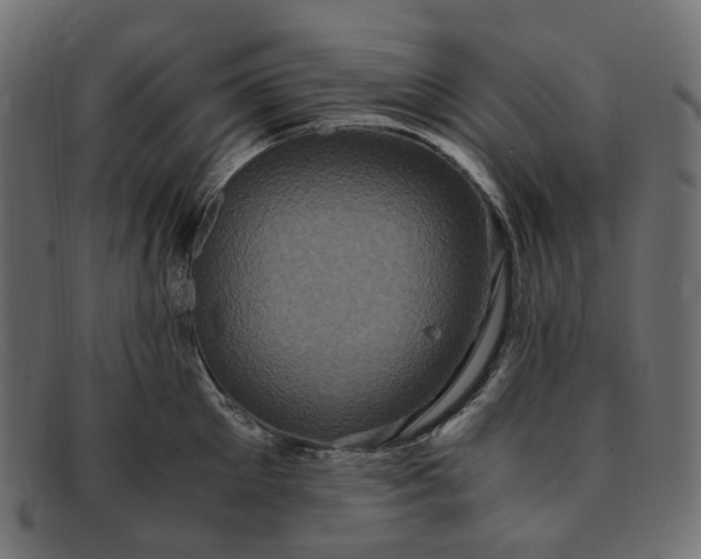 X0000091880905200709191154