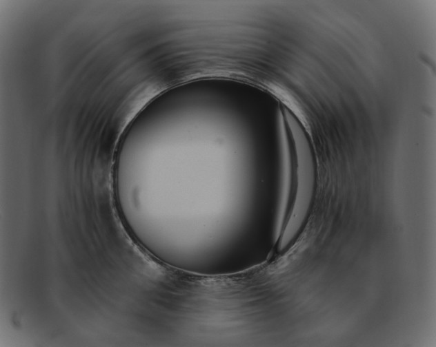 X0000091880906200709191154