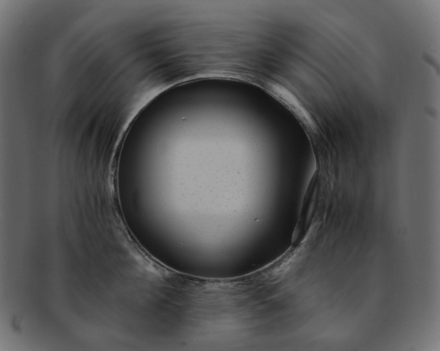 X0000091880908200709191154