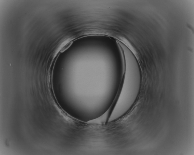 X0000091880909200709191154