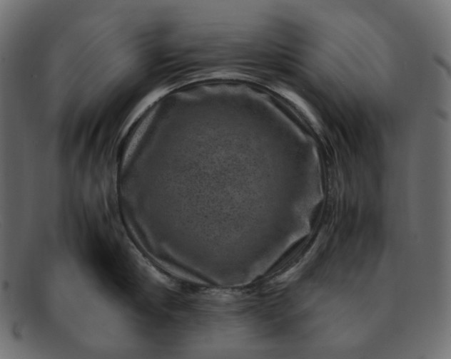 X0000091880910200709191154