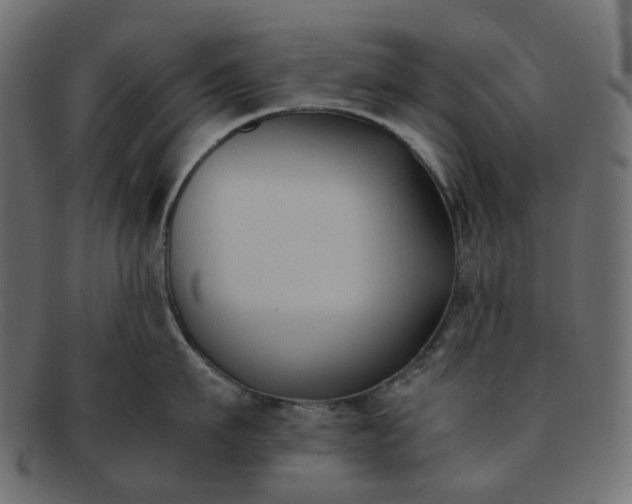 X0000091880911200709191154