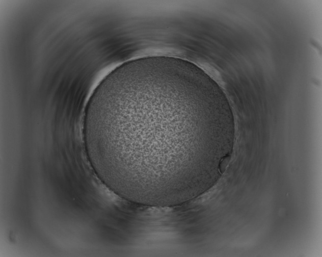 X0000091880912200709191154