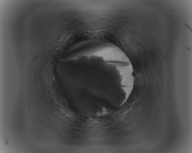 X0000091880913200709191153