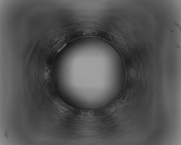 X0000091880914200709191153