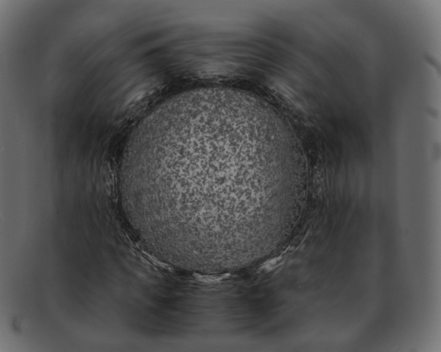 X0000091880917200709191153